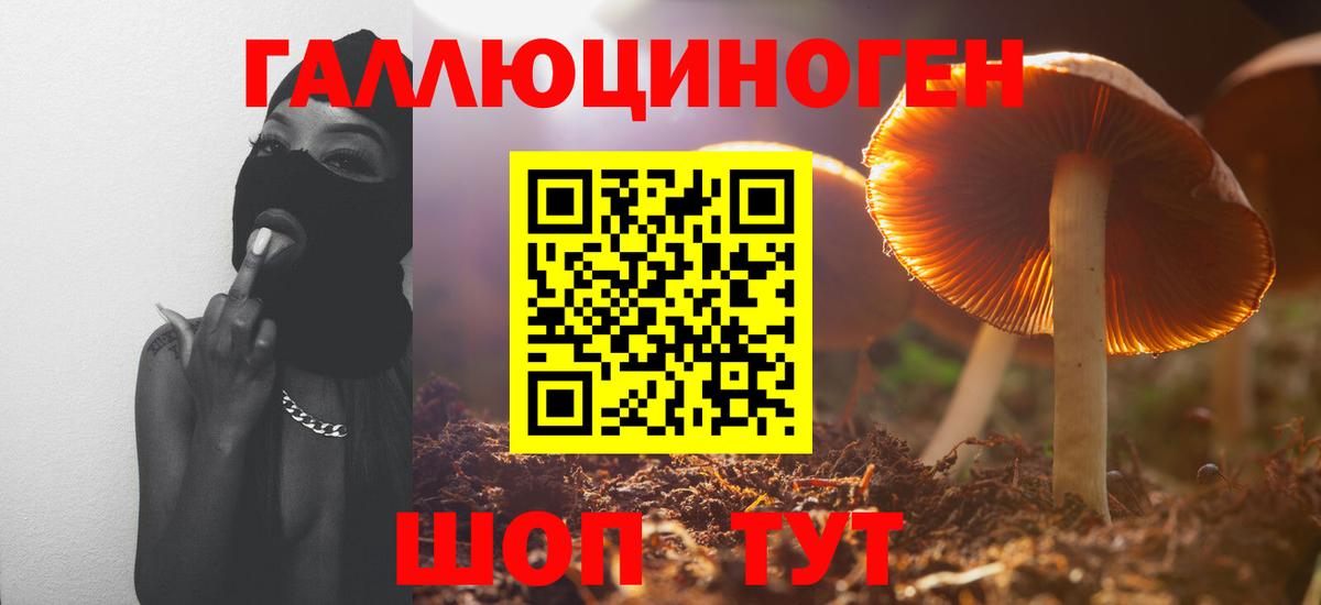 Псилоцибиновые грибы GOLDEN TEACHER  Вход с VPN  Ленинск-Кузнецкий 